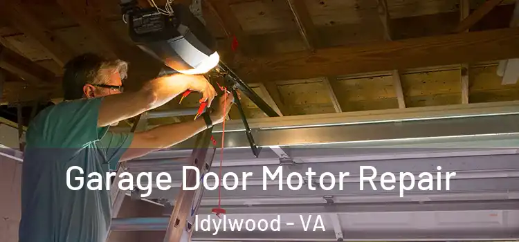  Garage Door Motor Repair Idylwood - VA