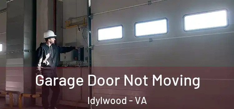  Garage Door Not Moving Idylwood - VA
