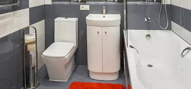 Hansgrohe Shaving Mirror Idylwood