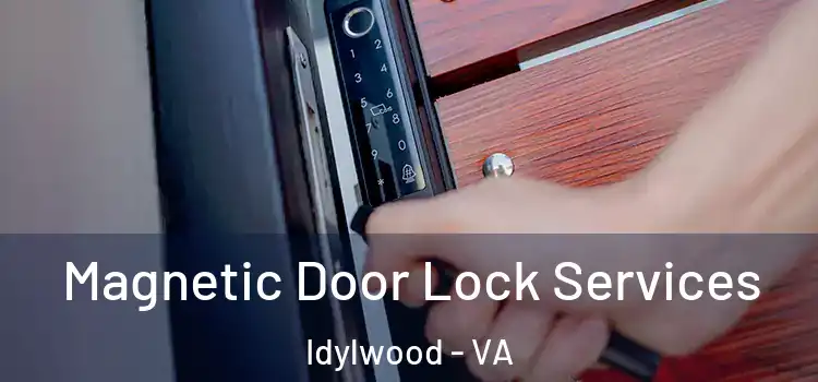 Magnetic Door Lock Services Idylwood - VA