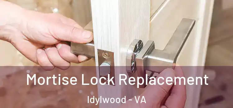 Mortise Lock Replacement Idylwood - VA