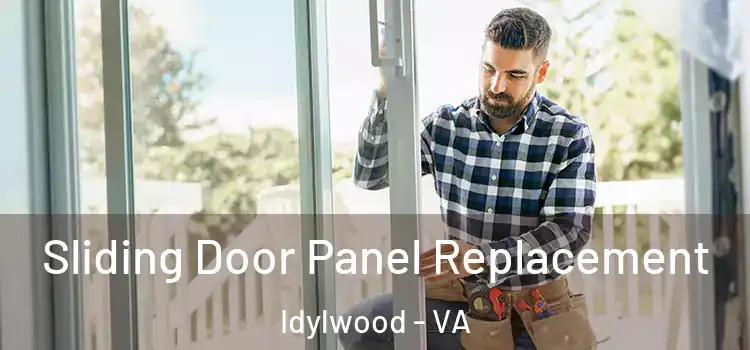  Sliding Door Panel Replacement Idylwood - VA